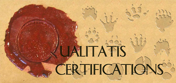 Ontwerp logo Qualitatis